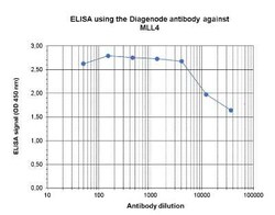 KMT2D Rabbit anti-Mouse, Polyclonal, Novus Biologicals 25 &mu;g; Unconjugated:Antibodies,
